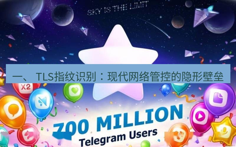 Telegram下载安装包 一、 TLS指纹识别:现代网络管控的隐形壁垒